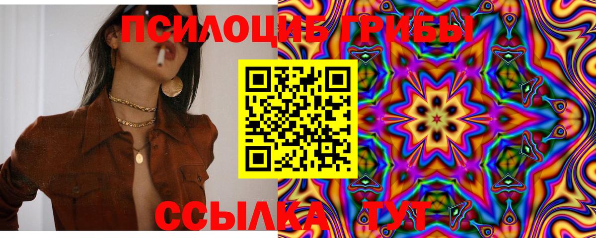 Галлюциногенные грибы Psilocybe  Вход с VPN  как найти закладки  Троицк 